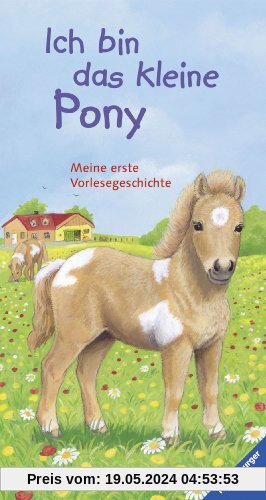 Ich bin das kleine Pony: Meine erste Vorlesegeschichte